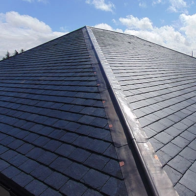 Lead Roof