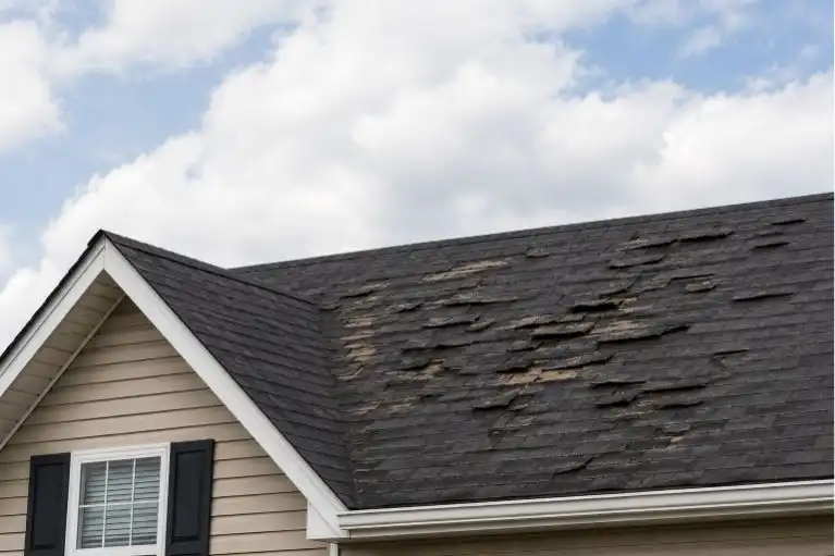 Damaged roof shingles showing wear and signs of roof replacement needs