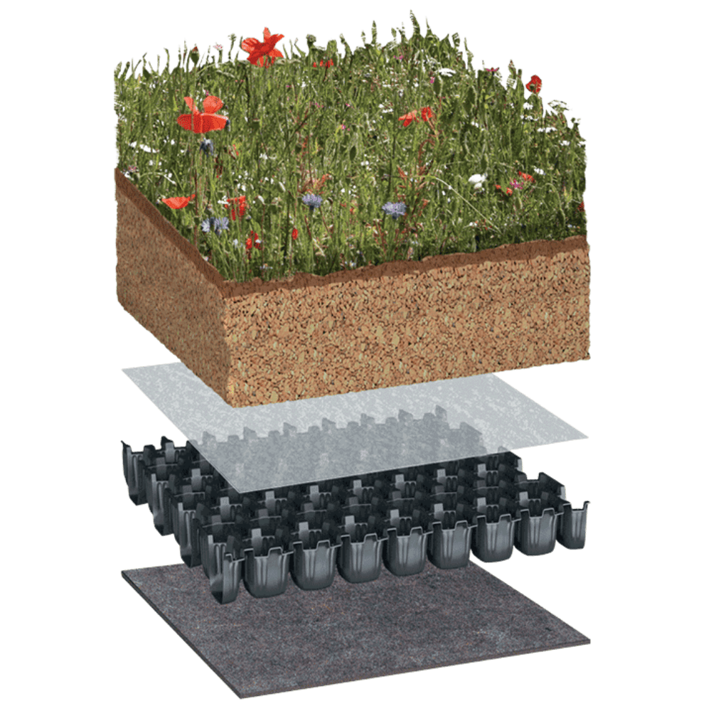 Green Roof